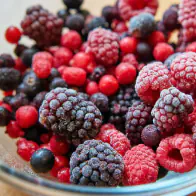 compressed-i1e19uNN0VZWXyH4C3YLPEFjjc0zOvfk_13